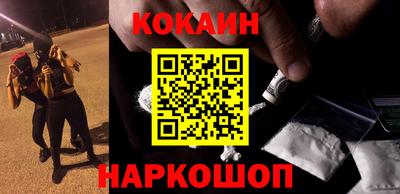 сатива Новозыбков