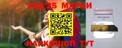 сатива Новозыбков
