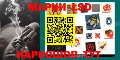 сатива Новозыбков