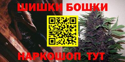 сатива Новозыбков