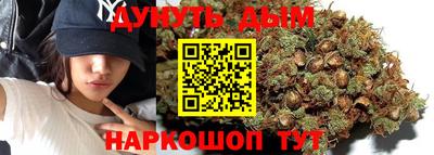сатива Новозыбков