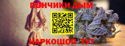 сатива Новозыбков