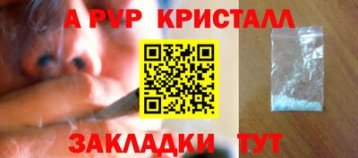 сатива Новозыбков