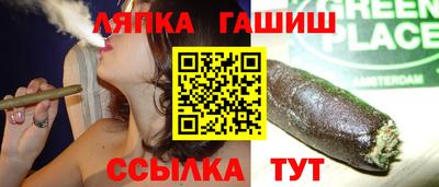 сатива Новозыбков